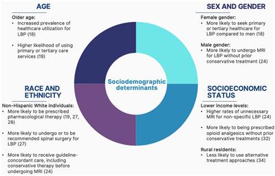 Sociodemographic determinants of health inequities in low back pain: a narrative review